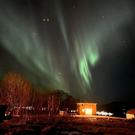 Pederstua, A Classic Fisherman'S Farm House In The Middle Of Lofoten Storeidet ภายนอก รูปภาพ