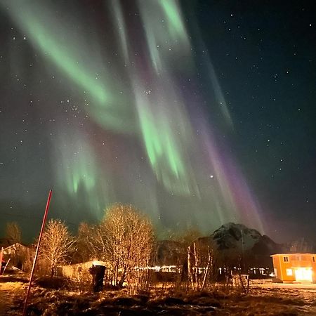 Pederstua, A Classic Fisherman'S Farm House In The Middle Of Lofoten Storeidet ภายนอก รูปภาพ