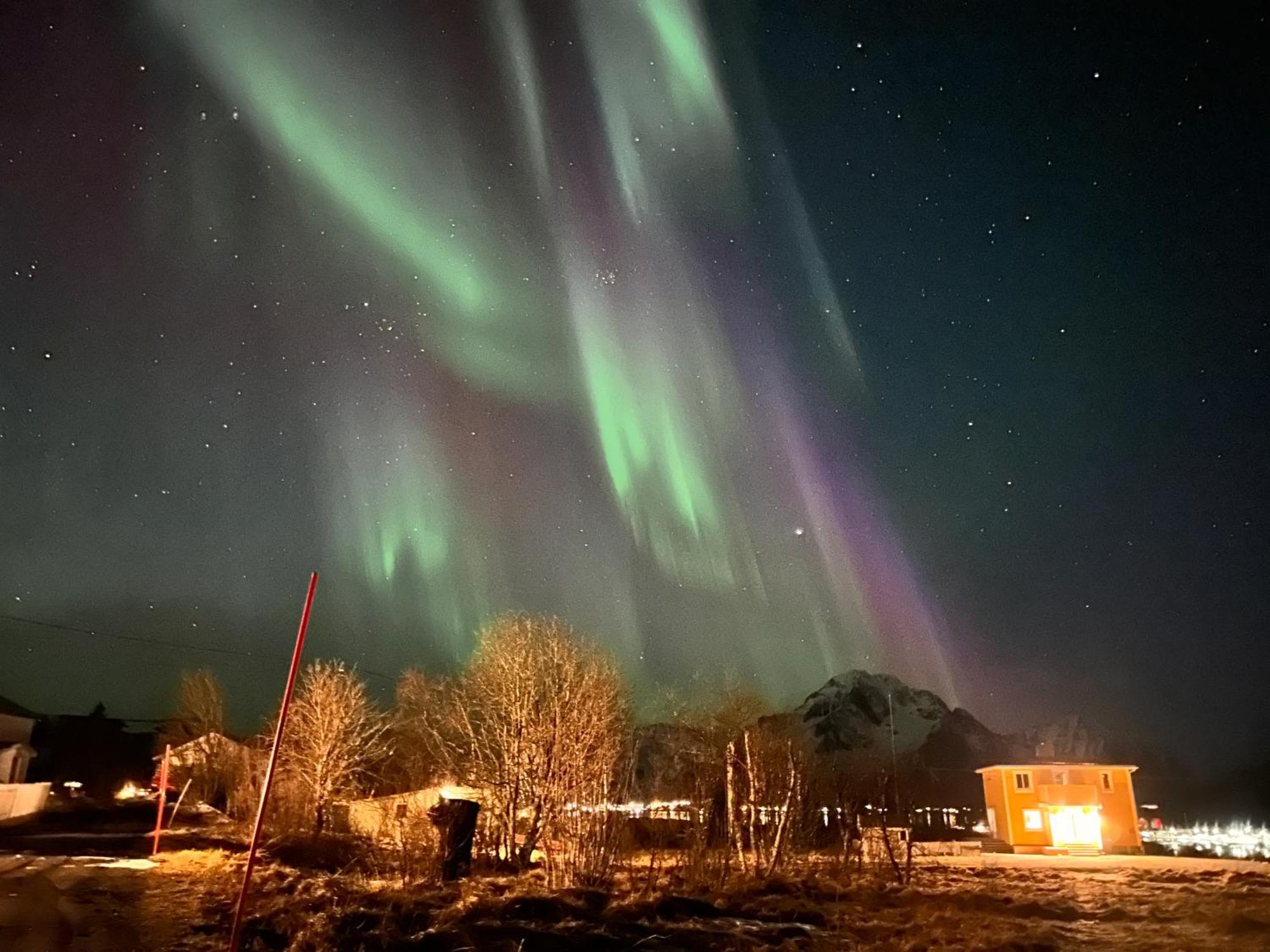 Pederstua, A Classic Fisherman'S Farm House In The Middle Of Lofoten Storeidet ภายนอก รูปภาพ
